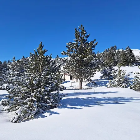 The Rest Nest * Risovac