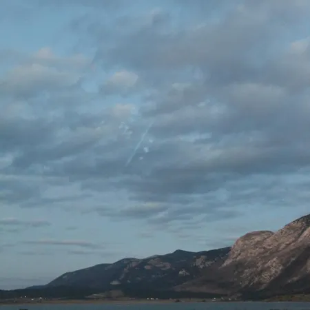 The Rest Nest * Risovac